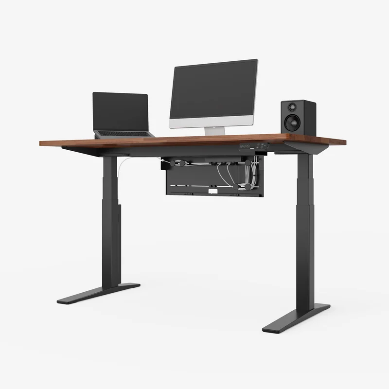 FlexiSpot E7 Pro Standing Desk